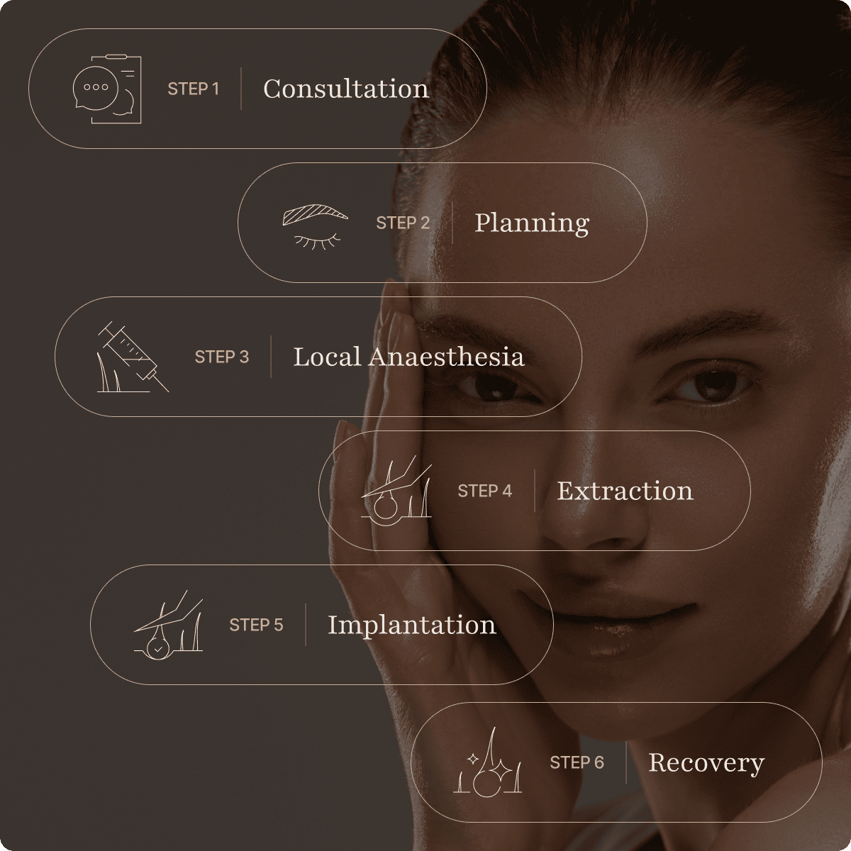 Eyebrow transplant procedure steps infographic
